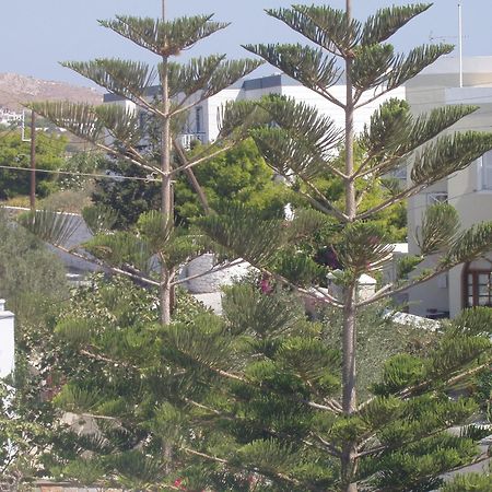 Manos Apartments Megas Gialos - Nites Екстер'єр фото